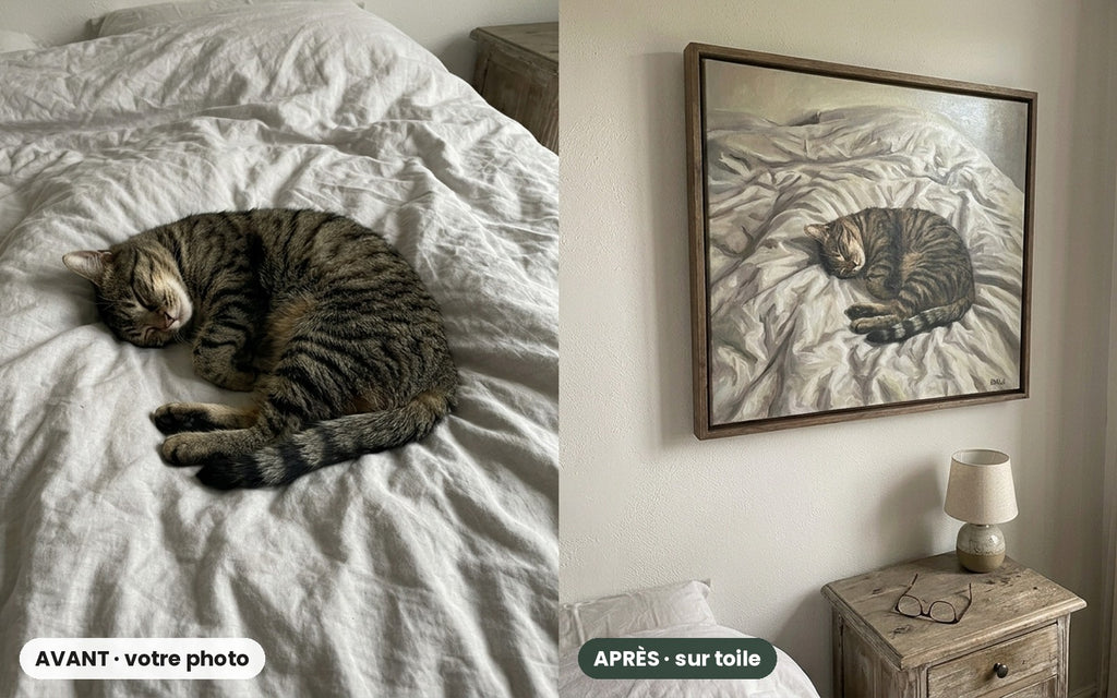 Avant / après : un chat endormi et son portrait effet peinture à l'huile sur toile