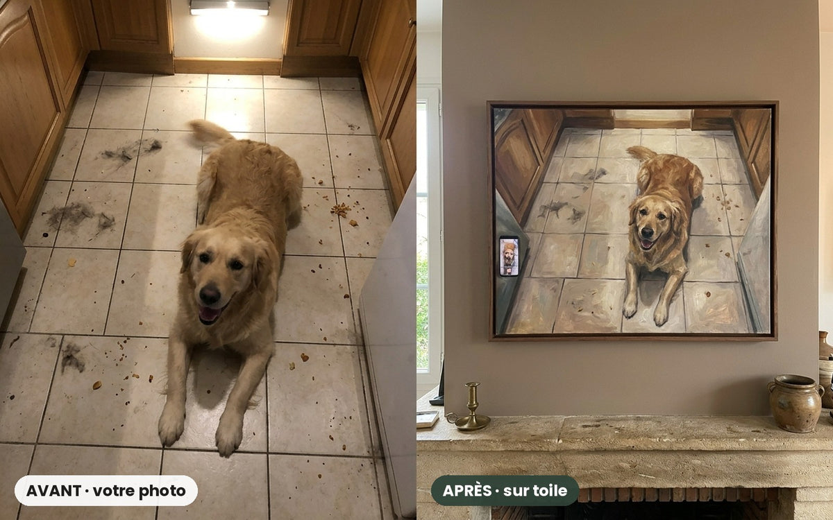Avant / après : un golden retriever et son portrait sur toile